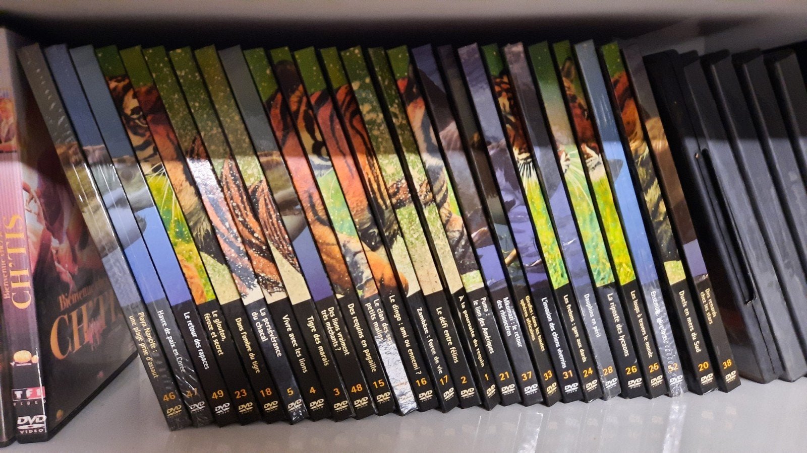 DvD avec livres sur les animaux du monde, Cd's en Dvd's, Ophalen, Dieren