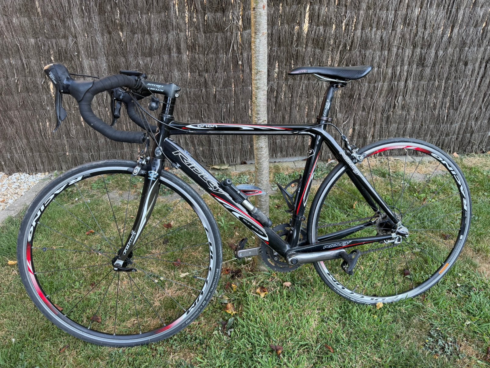 Vélo de course Ridley ORION (carbone, taille 50), Enlèvement, Utilisé, Carbone, Autres marques
