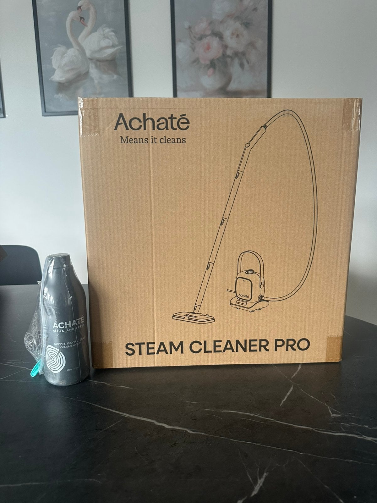 Achaté stoomreiniger, Enlèvement, Neuf, Nettoyeur à vapeur