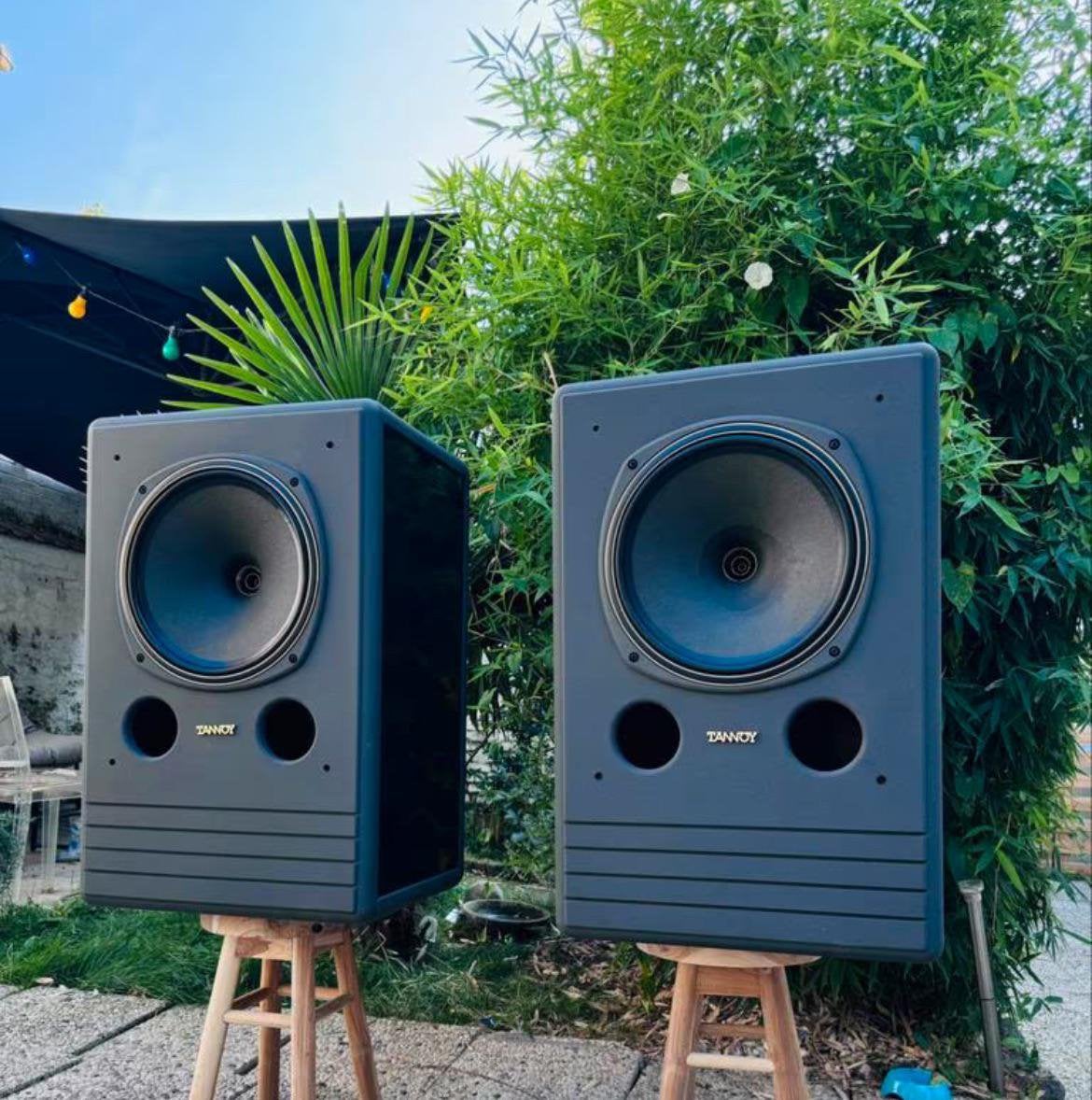 Tannoy System 15 DMT II, Autres marques, Moniteur de studio, Enlèvement, Utilisé