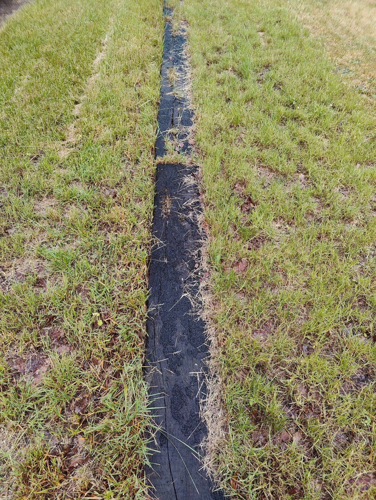 Treinbilzen, Tuin en Terras, Ophalen