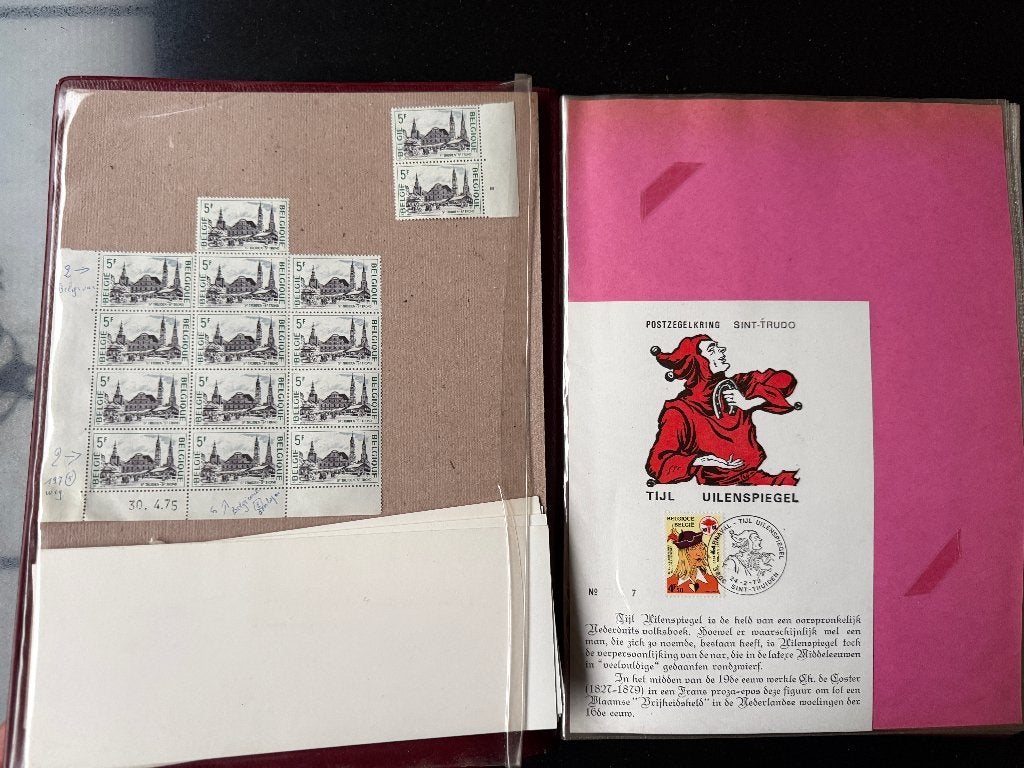 Album sur l'histoire postale de Saint-Trond et du Limbourg, Timbres & Monnaies, Enlèvement ou Envoi