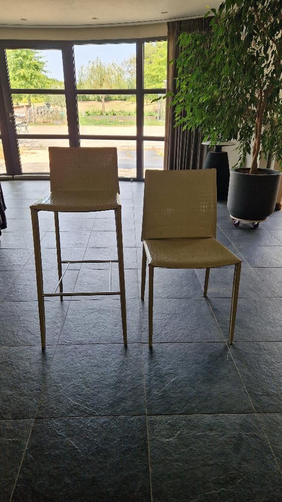 moderne design stoelen en krukken, Ophalen, Gebruikt, Overige kleuren, Leer