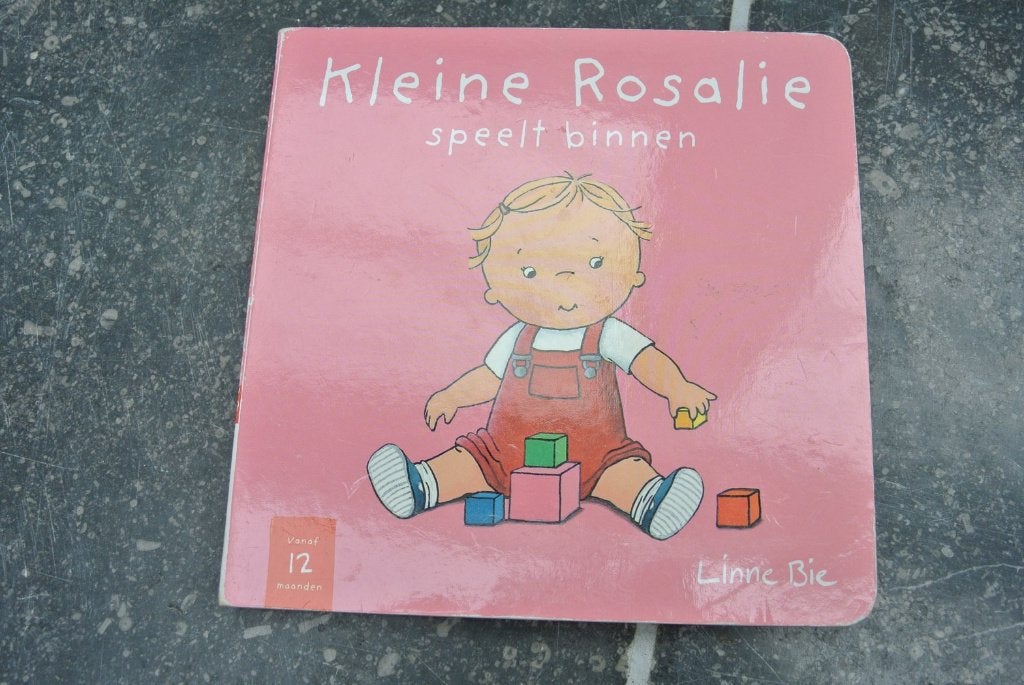 Rosalie speelt binnen, Boeken, Kinderboeken | Kleuters, Ophalen of Verzenden