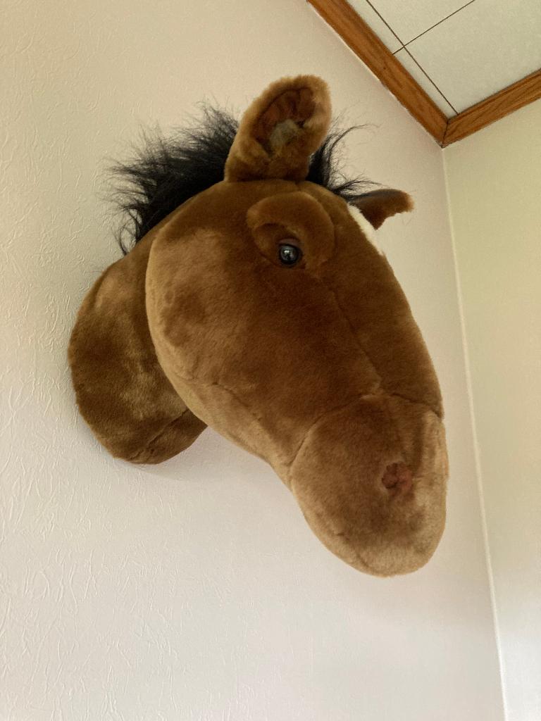 Bruine paardenkop om omhoog te hangen H=30 cm, D=40 cm, Ophalen of Verzenden, Zo goed als nieuw, Wanddecoratie