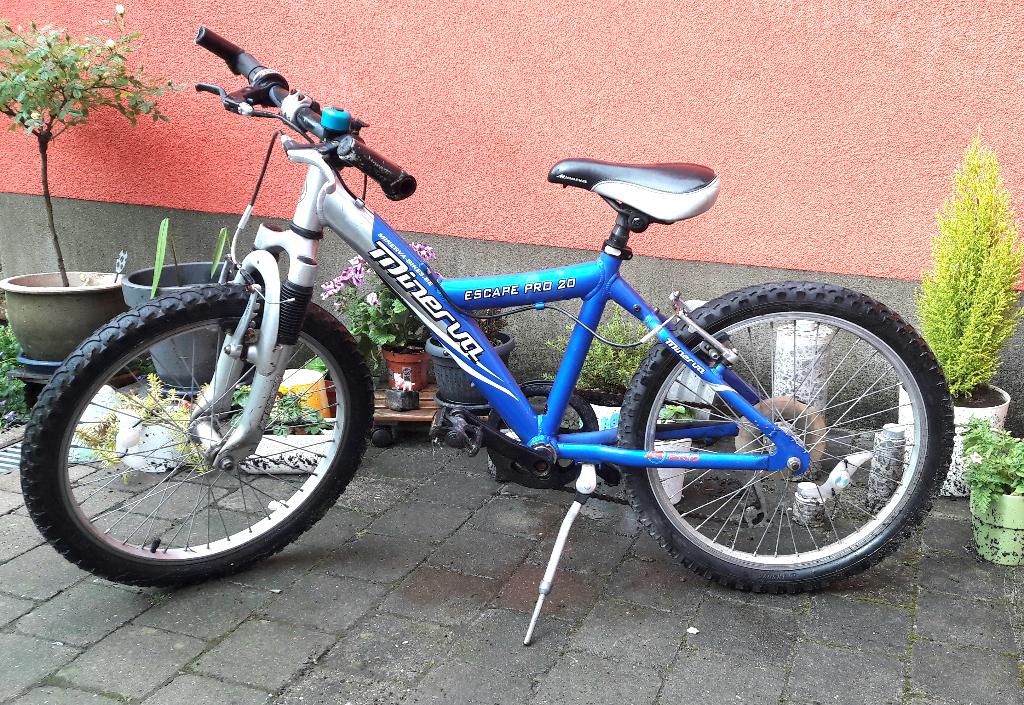 Vélo enfant Minerva Pro 20 pouces 6 à 9 ans VTT Cross Loisir, Frein sur jante, Minerva, Enlèvement, Utilisé