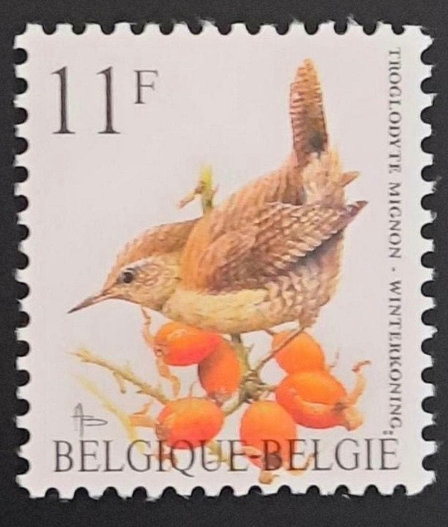 België: OBP 2449 ** Vogels 1992., Frankeerzegel, Ophalen of Verzenden, Zonder stempel, Postfris