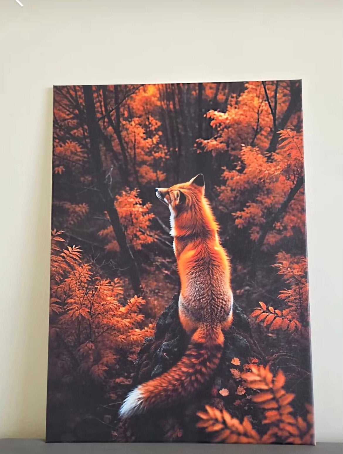Vos Canvas - 50 x 70 cm, Verzenden