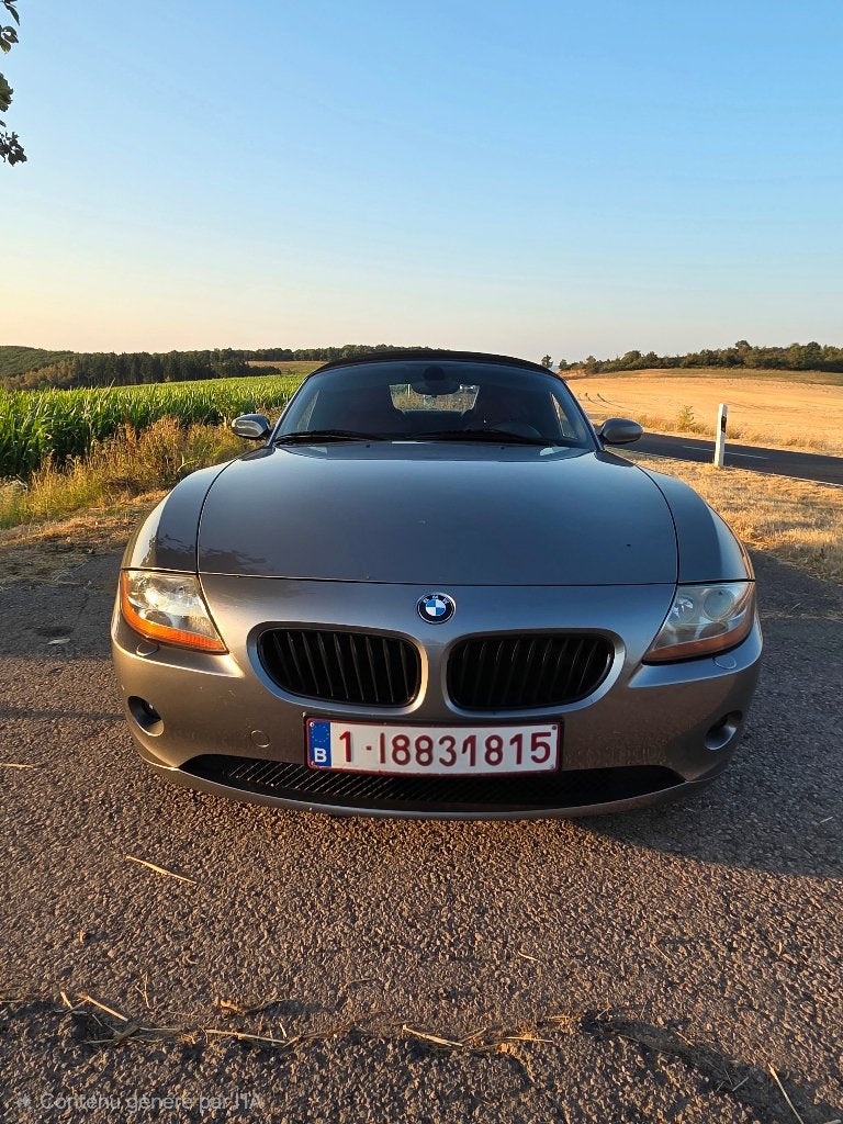 Z4 e85 3.0i, Autos, Cuir, Argent ou Gris, Boîte manuelle, 2 portes