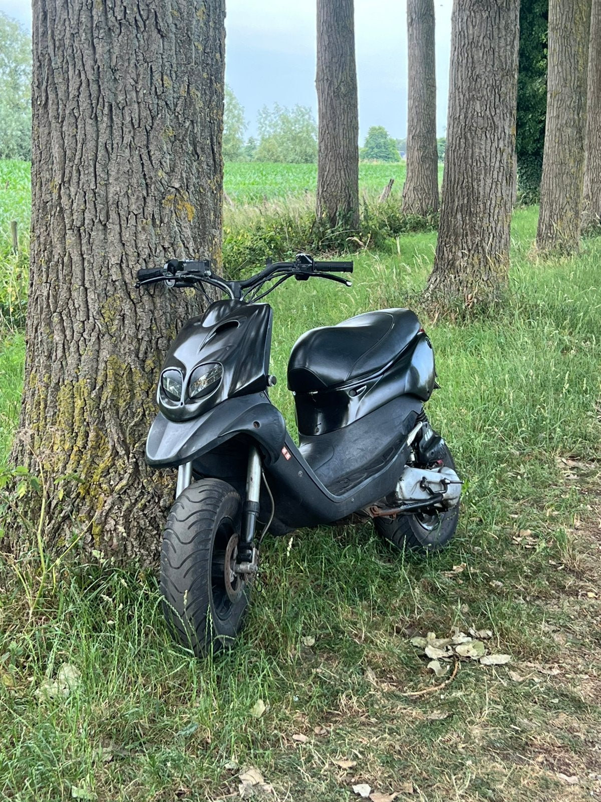 Peugeot TKR, Autres modèles, Classe B (45 km/h), Enlèvement, Utilisé
