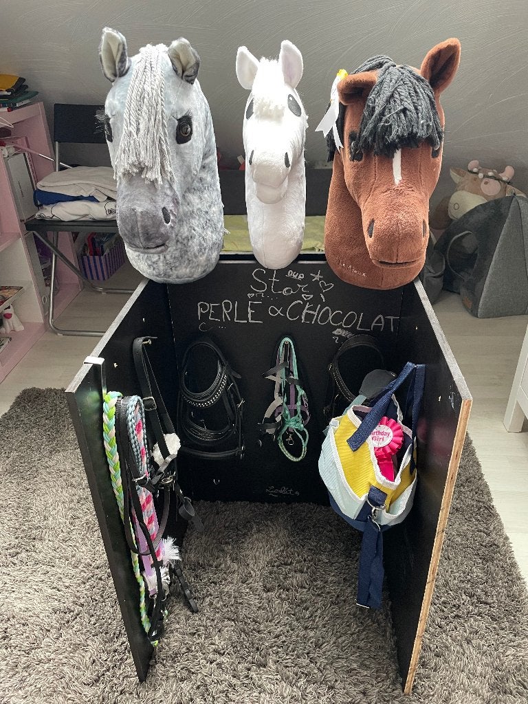 Hobby Horse, Enlèvement, Utilisé