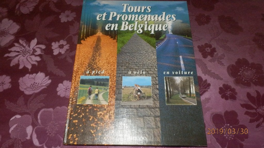 (5) - tours et promenades en belgique, Guide ou Livre de voyage, Enlèvement ou Envoi, Comme neuf, Racine lannoo