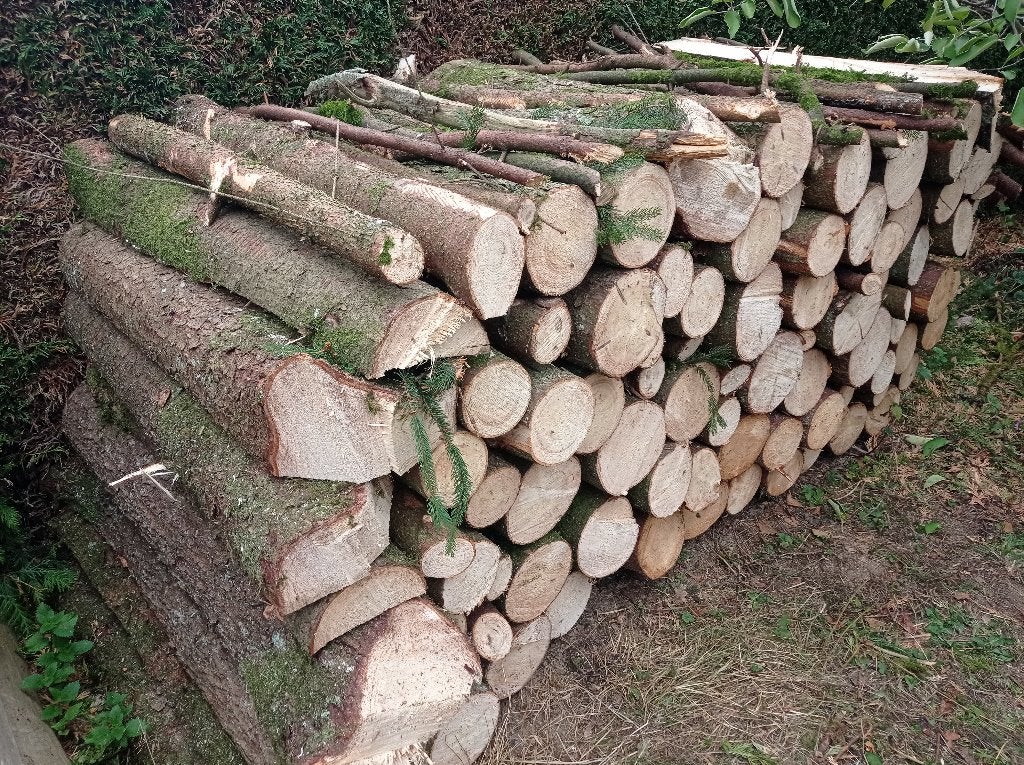 Bois de Chauffage Epicéa en 1m, Jardin & Terrasse, 6 m³ ou plus, Enlèvement, Autres essences de bois, Bûches