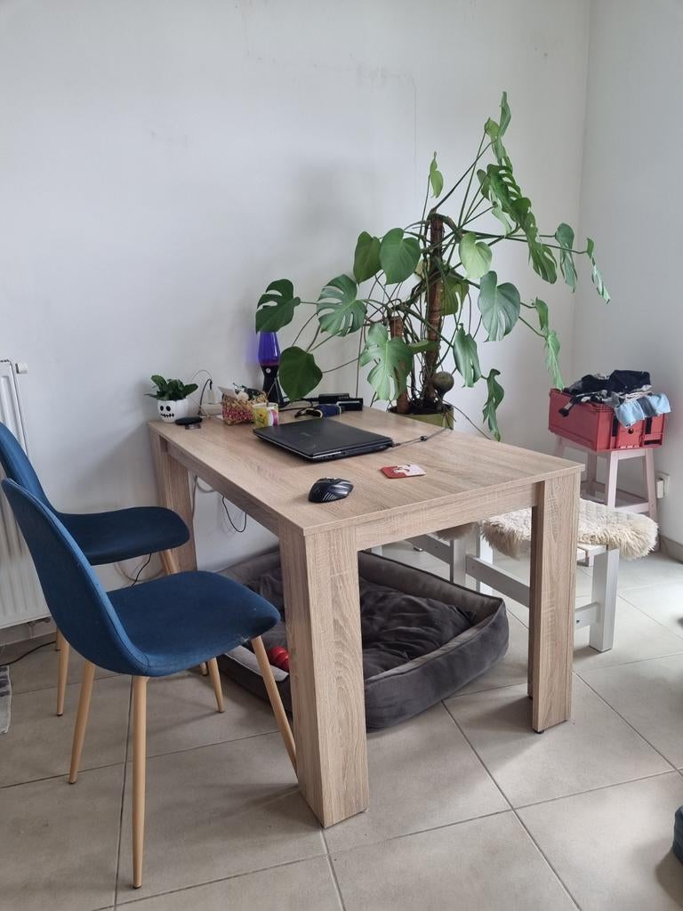 Eettafel 160x80 * vandaag ophalen*, Huis en Inrichting, Ophalen, Gebruikt, 50 tot 100 cm, 150 tot 200 cm