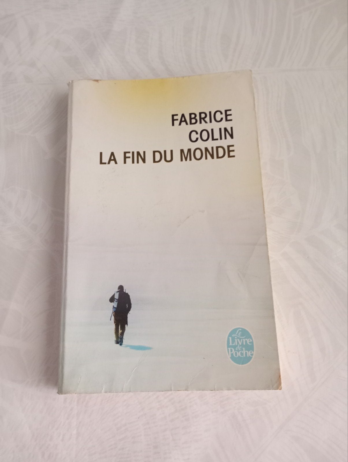 Livre "La Fin du Monde" – Fabrice Colin (Format Poche), Enlèvement ou Envoi