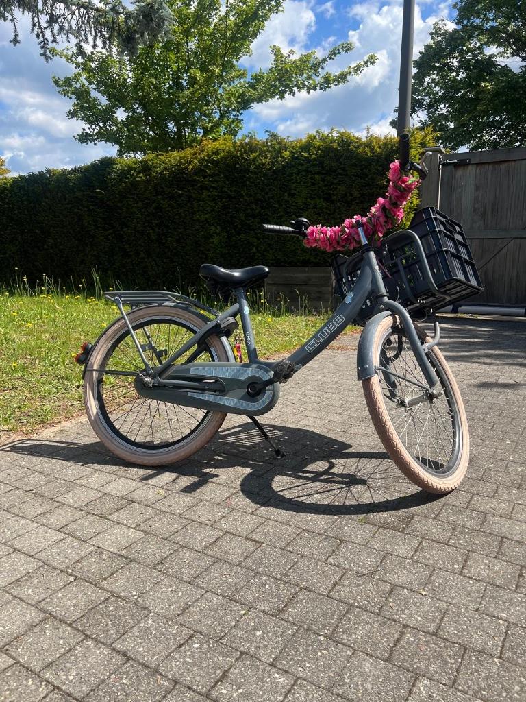 Meisjesfiets 22inch, Fietsen en Brommers, Fietsen | Meisjes, Ophalen, Terugtraprem, 22 inch, Gebruikt