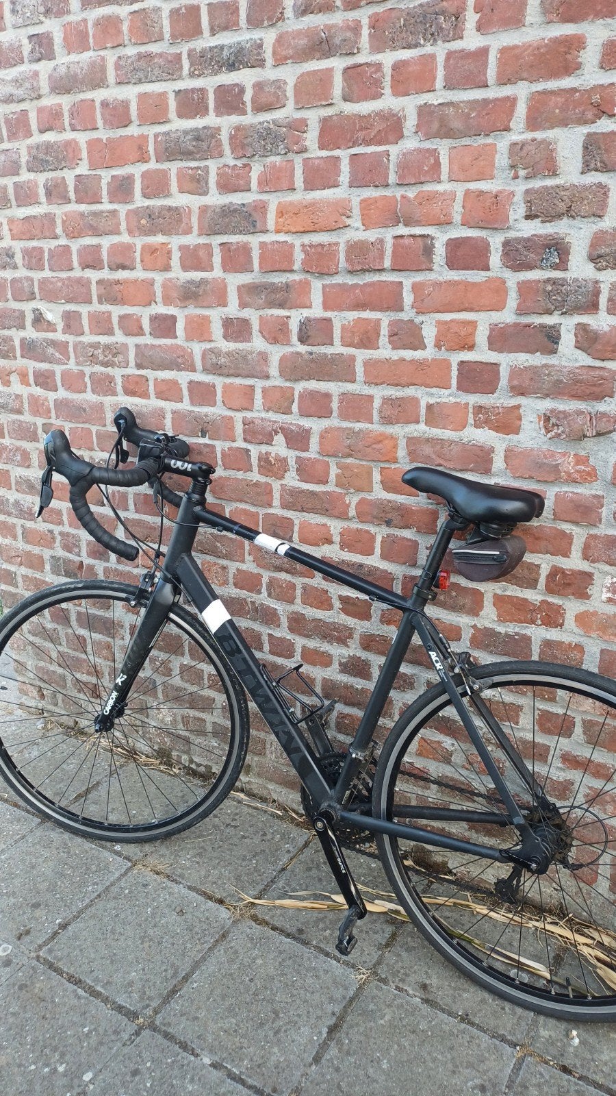 Koersfiets voor dames, Ophalen