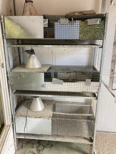 opfokkooien met warmtelamp, Enlèvement, Comme neuf, Métal, Cage d'élevage