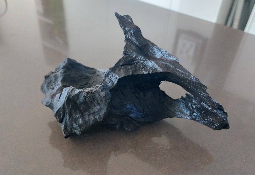 hout voor aquarium, Enlèvement ou Envoi, Utilisé, Plante(s), Pierre ou Bois