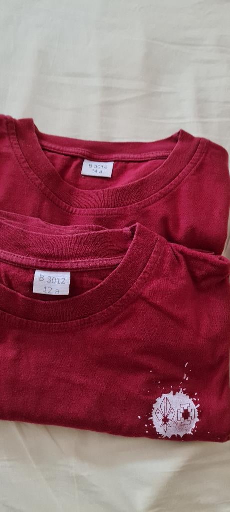 t-shirts scouts 12j en 14j, Ophalen, Zo goed als nieuw, Overige maten