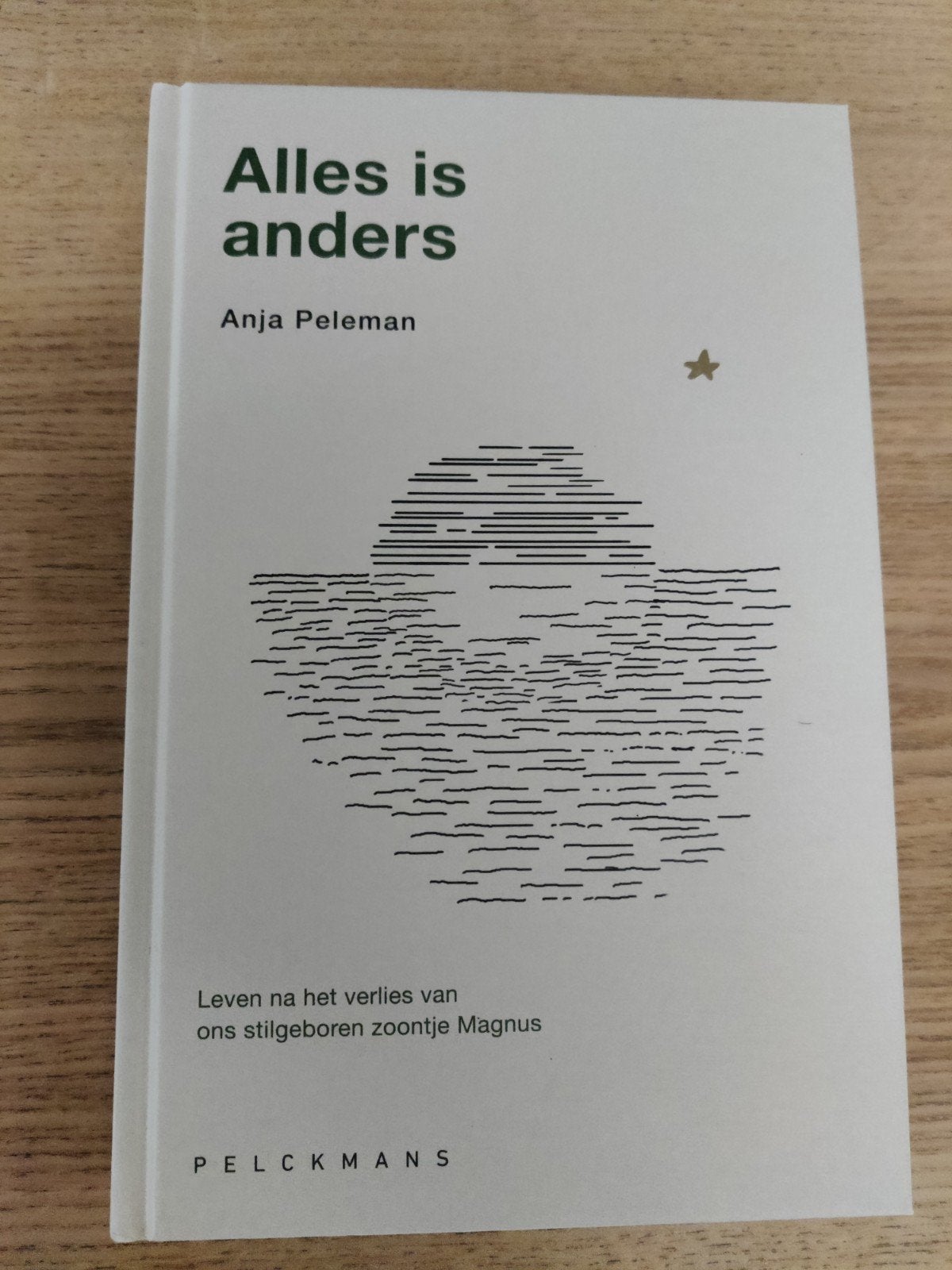 boek "Alles is anders", Boeken, Ophalen of Verzenden