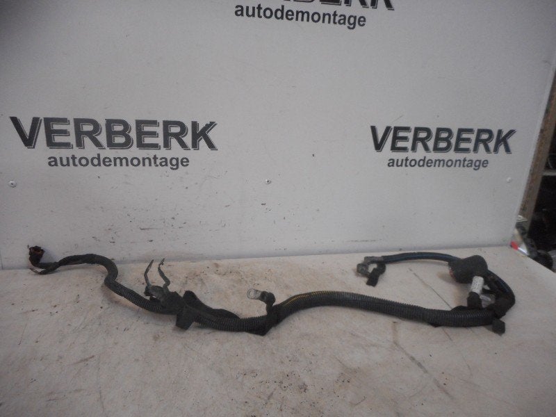 KABELBOOM Opel Astra G (F07) (01-1999/03-2005) (09174137), Gebruikt, Opel, Opel Automobile GmbH, Kontakt-opel@opel.com