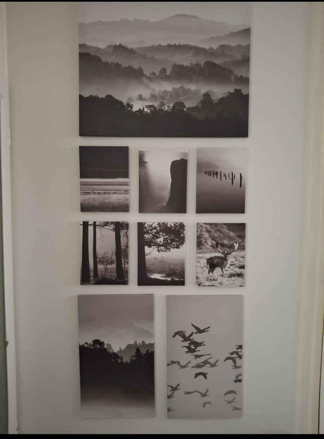 Canvas set van 9 stuks, zwart-wit landschappen en dieren, Huis en Inrichting, Ophalen