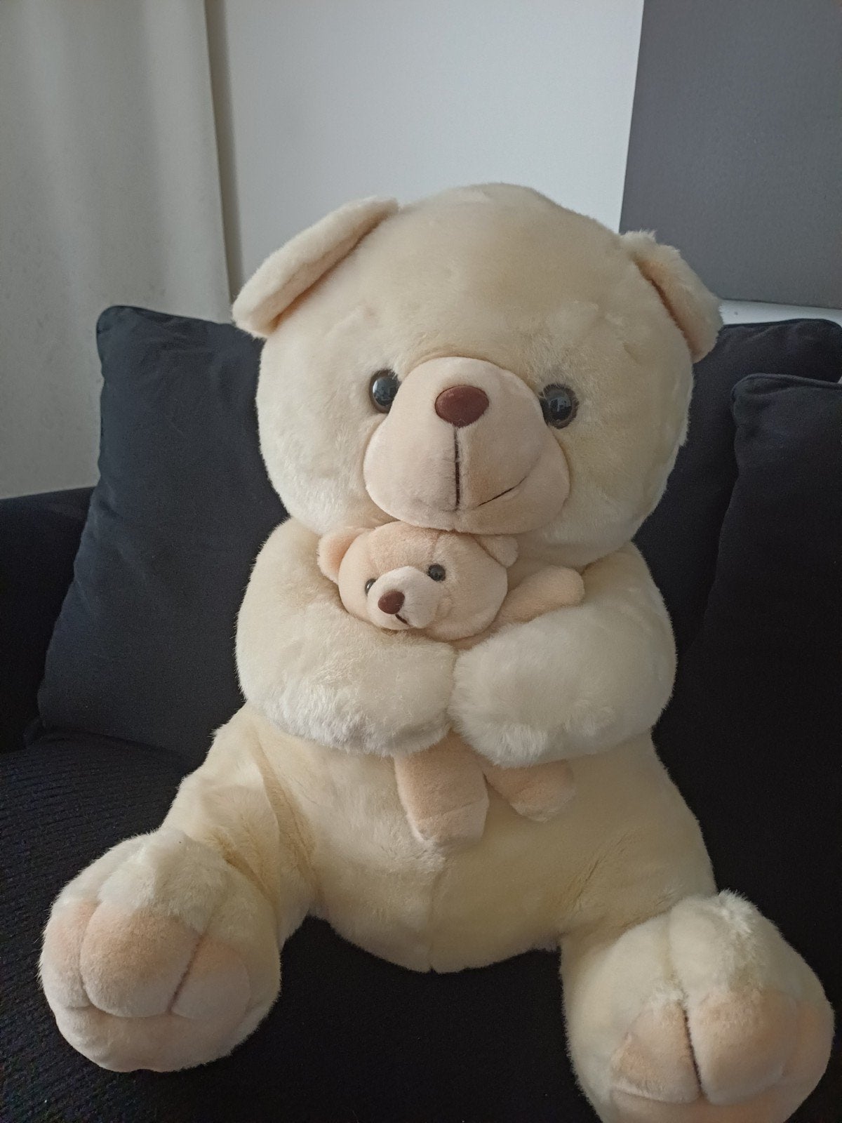 pluche beer, Ophalen, Beer, Zo goed als nieuw, Middelgroot (20 tot 80 cm)