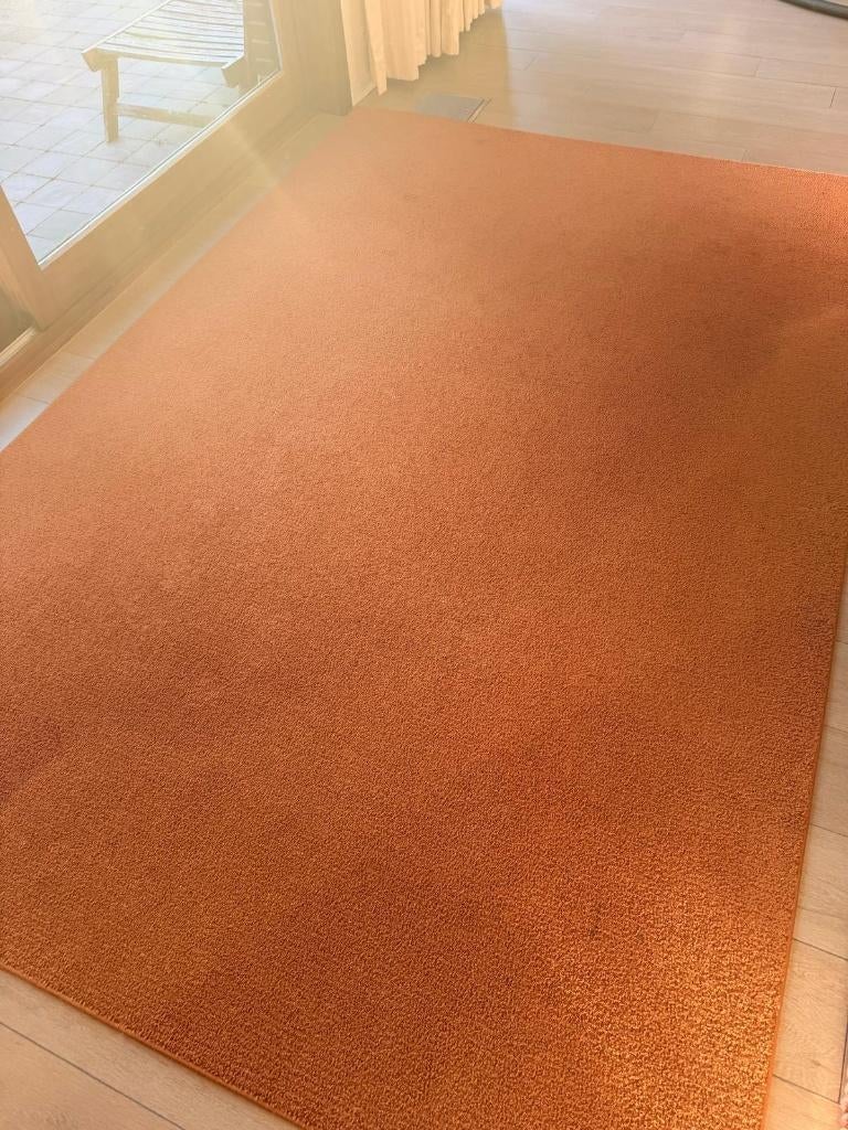 Tapijt Ikea, 200 cm ou plus, 200 cm ou plus, Brun, Enlèvement