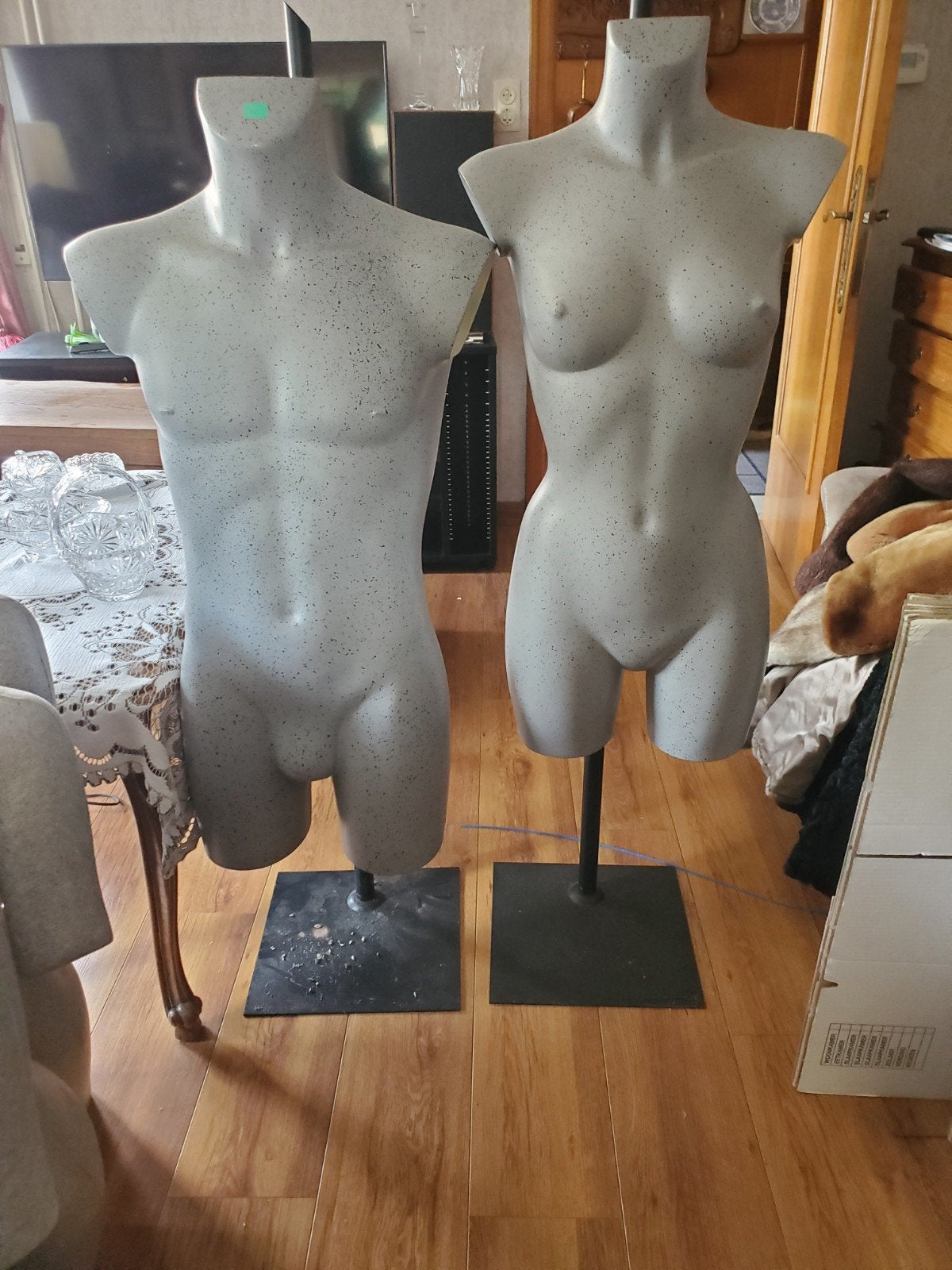 paspoppen te koop in Sint-Kruis, Enlèvement