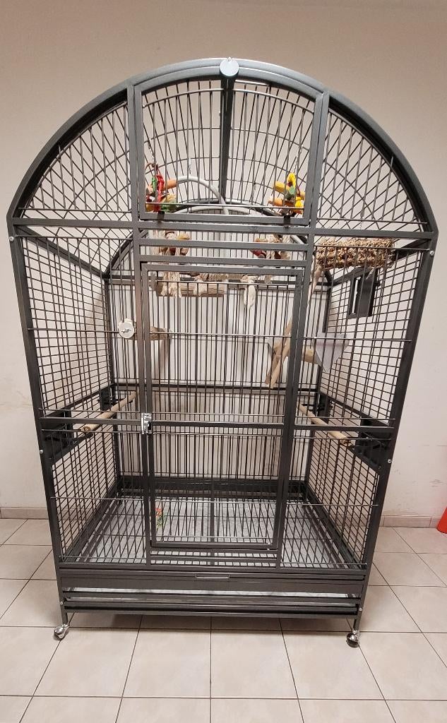 Cage perroquet Montana xxl + perchoirs et jeux (complète !), Enlèvement, Comme neuf, Métal, Cage à oiseaux