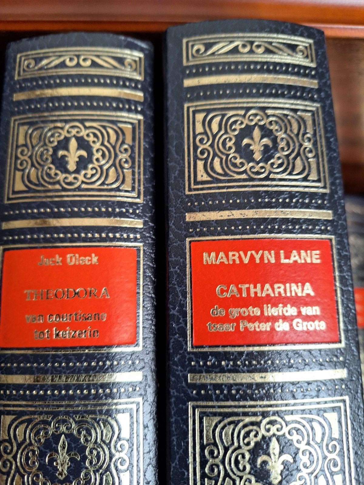 Collectie van 10 historische boeken, Boeken, Geschiedenis | Wereld, Ophalen