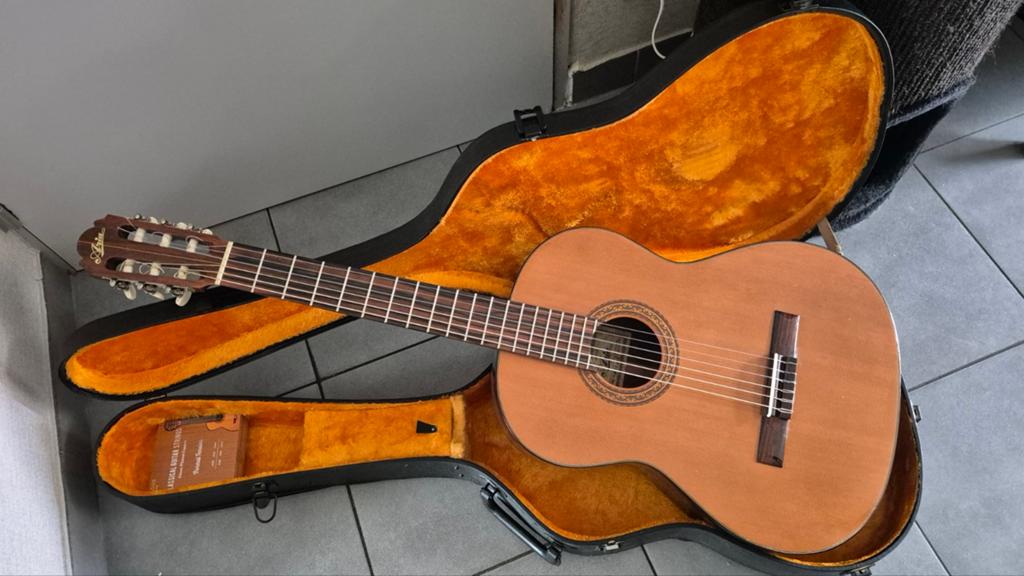 Guitare classique Aria, Musique & Instruments, Enlèvement, Avec valise