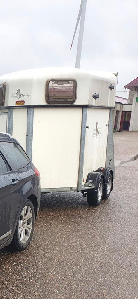 Paardentrailer, Dieren en Toebehoren, Paarden en Pony's | Trailers en Aanhangwagens, Ophalen