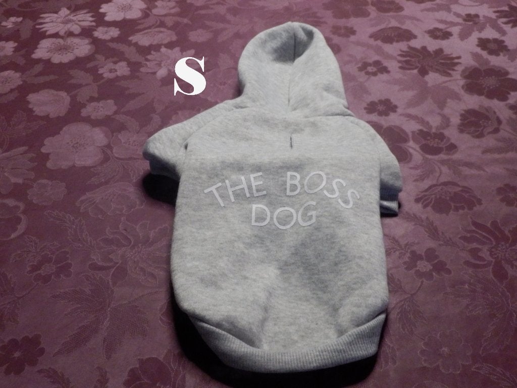 (38)- pull petit chien t.S gris - action -, Animaux & Accessoires, Vêtements pour chiens, Enlèvement ou Envoi, Comme neuf, Pull pour chien