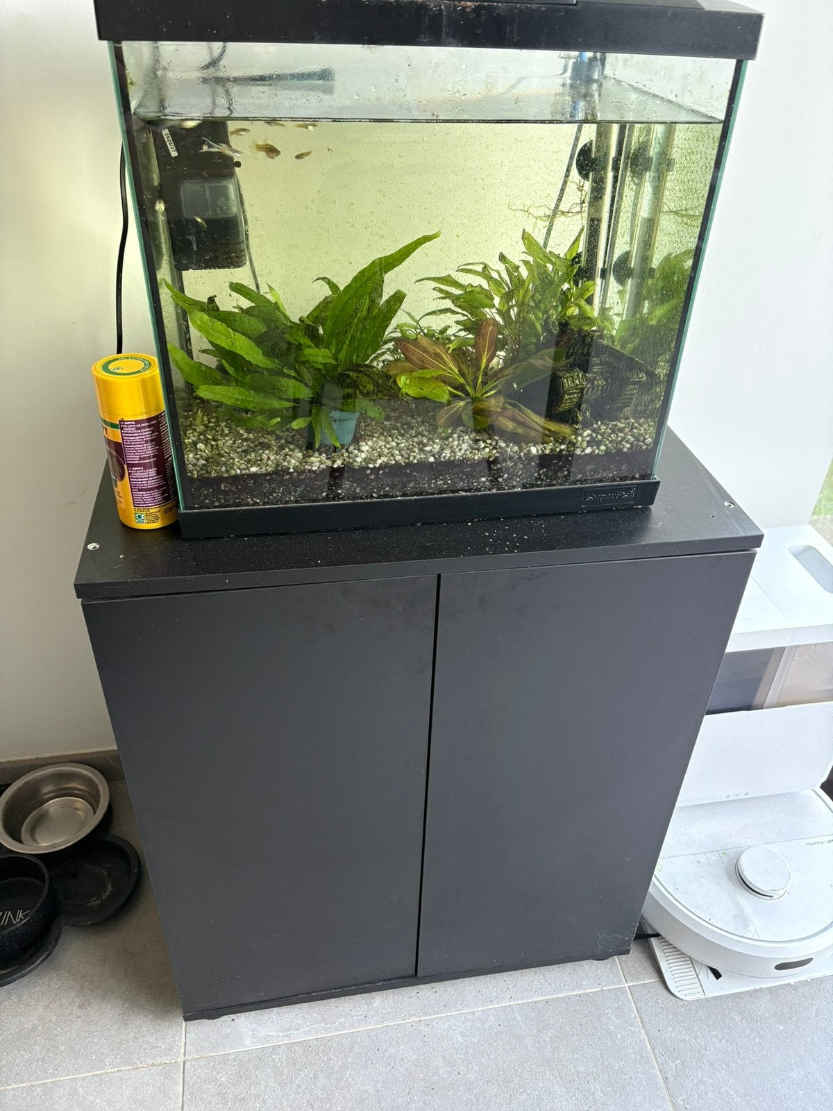 Aquarium superfish + aquariumkast + vissen, Enlèvement, Utilisé, Superfish, Chauffage