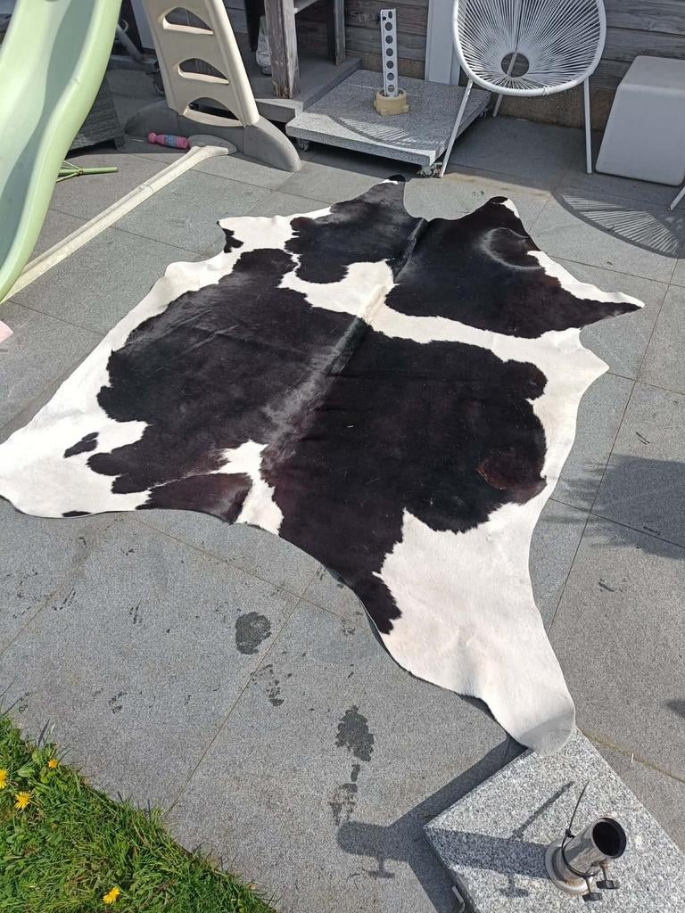 2 peaux de vache, Enlèvement