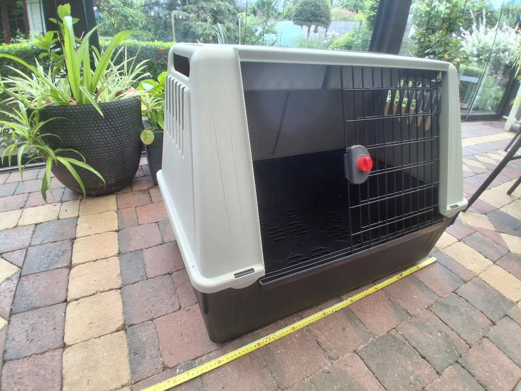 Transportbox hond, Dieren en Toebehoren, Ophalen, Zo goed als nieuw