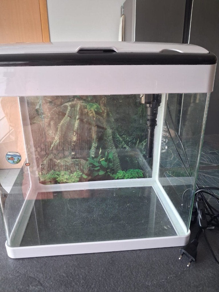 Aquarium met allerlei toebehoren, Ophalen, Inclusief deksel, Zo goed als nieuw, Leeg aquarium