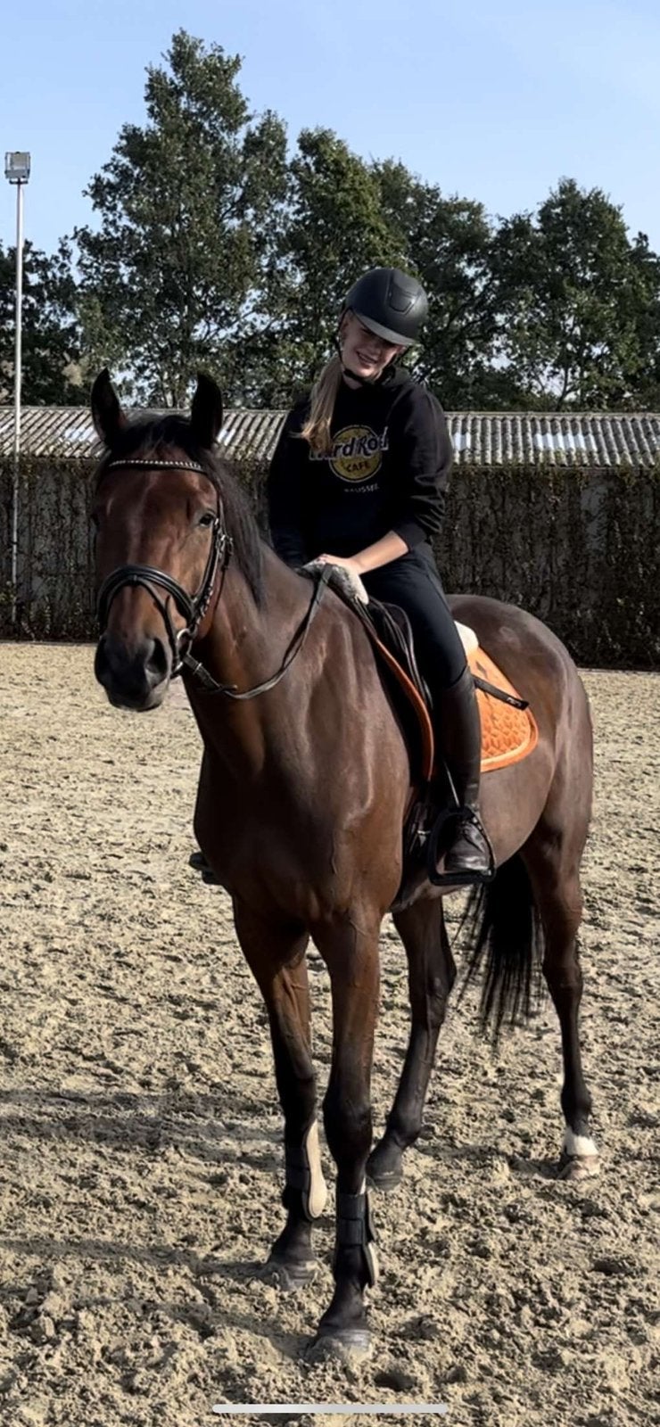 Halve stal, Dieren en Toebehoren, Paarden, Springpaard, Ruin, Met stamboom, 170 tot 175 cm