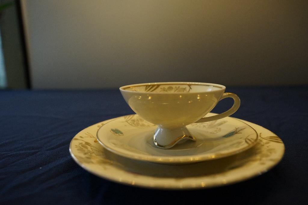 Belle vaisselle vintage Schirnding Bavaria — Pastel et doré, Enlèvement ou Envoi