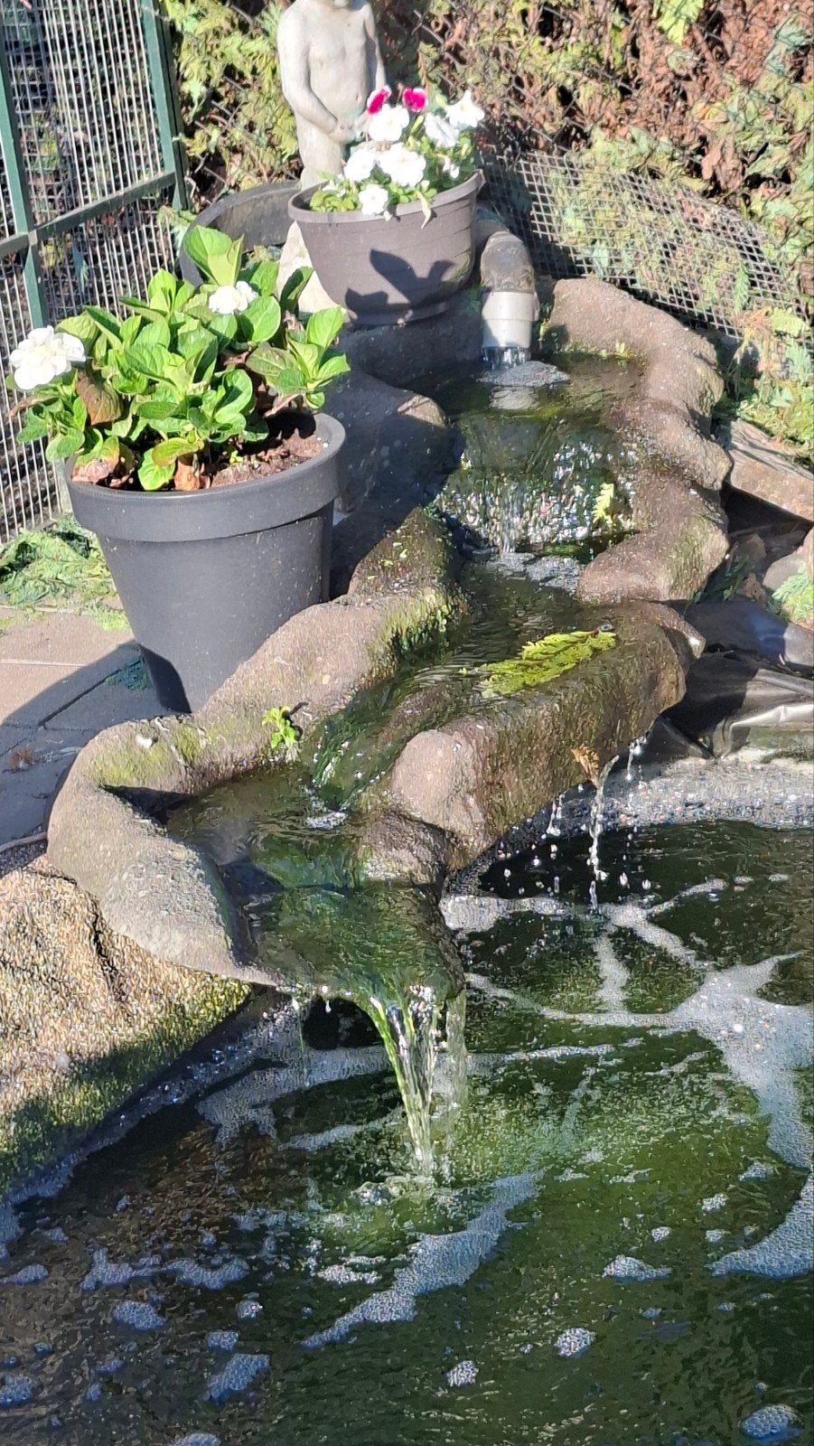 watervallen, Tuin en Terras, Ophalen