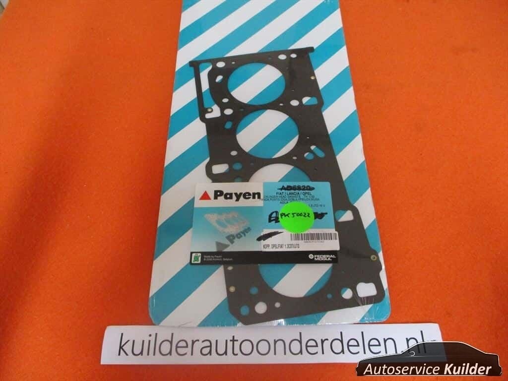 Koppakking Opel Fiat Alfa 1,3Jtd cdti PAYEN, Neuf, -, Alfa Romeo, -