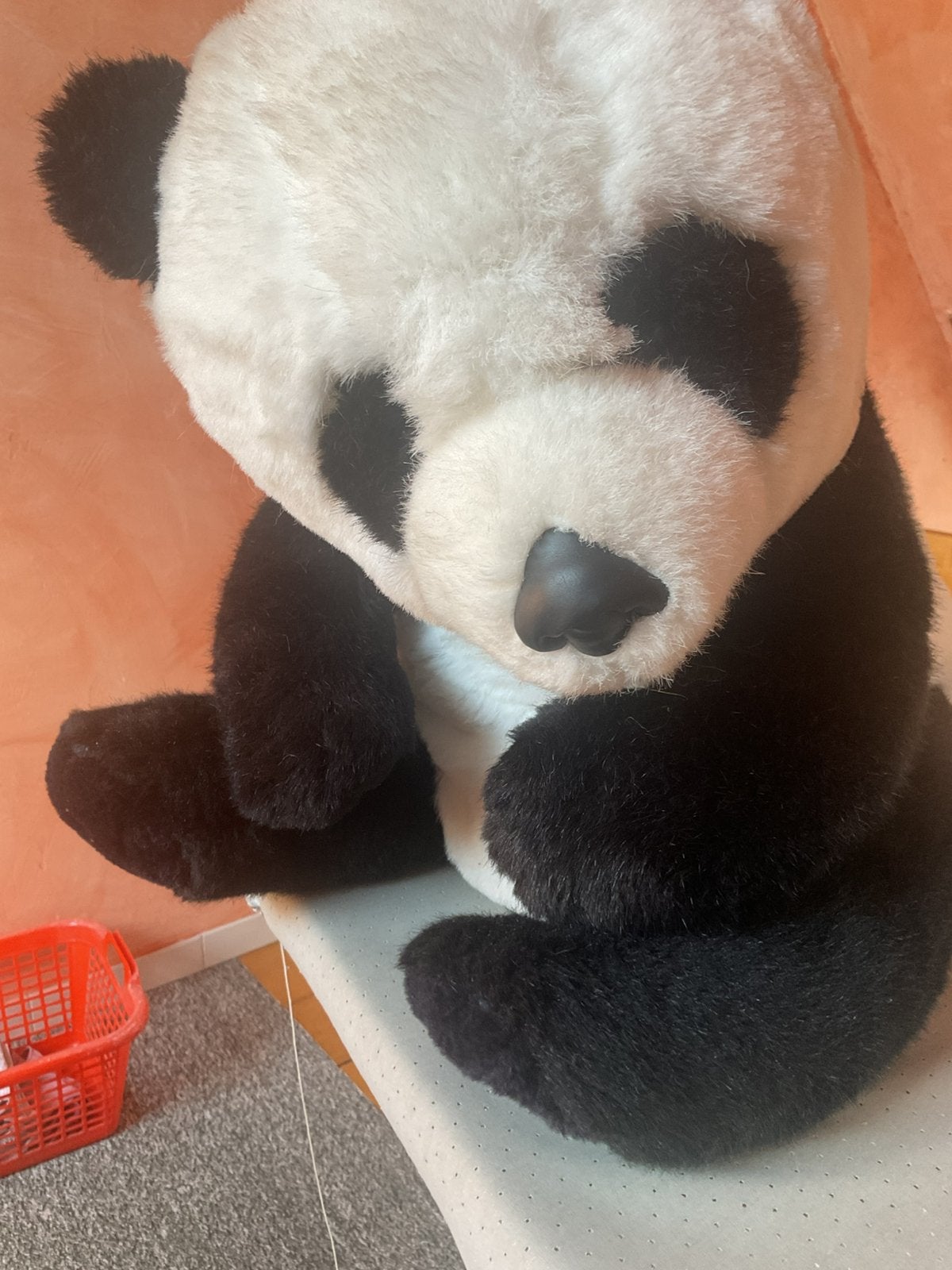 Grote panda beer, Ophalen, Zo goed als nieuw, Beer