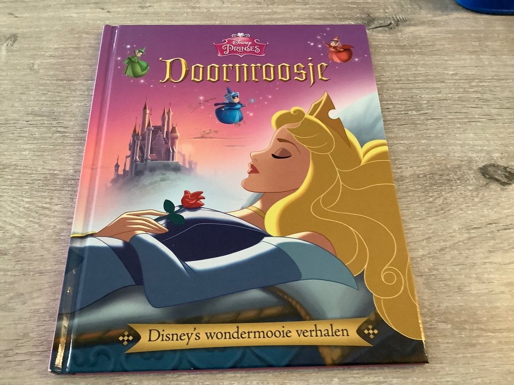 Disney Doornroosje voorleesboek, Boeken, Jongen of Meisje, Ophalen of Verzenden, Zo goed als nieuw, Voorleesboek