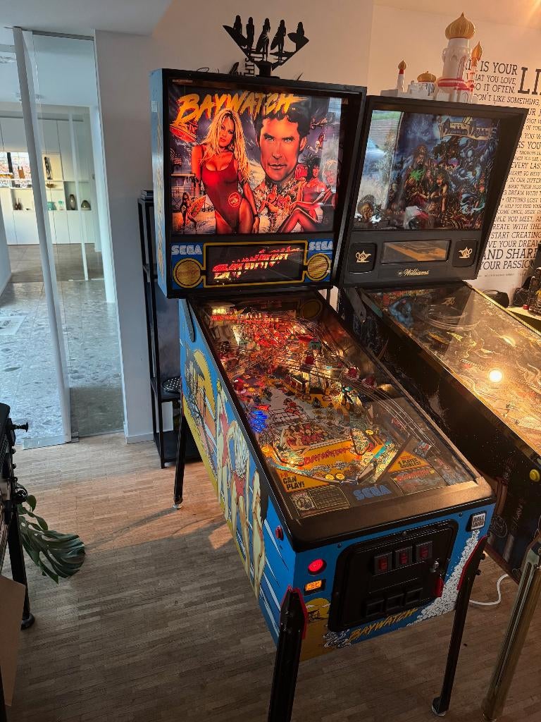 flipper Baywatch, Sega, Flipper (jeu), Enlèvement, Imprimante matricielle