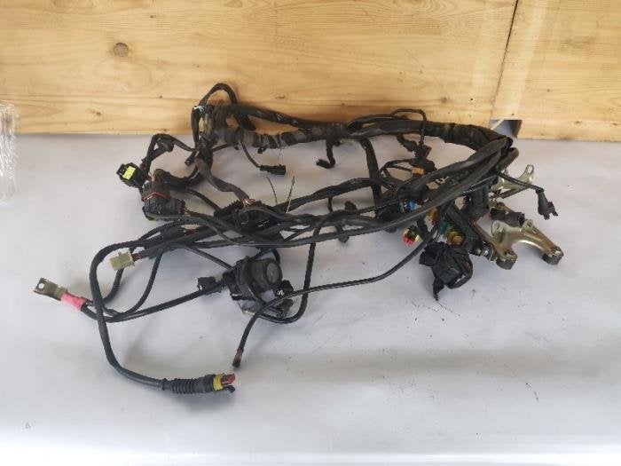 Faisceau de câbles d'un Ducati Monster 695, -, 3 mois de garantie, Utilisé, -