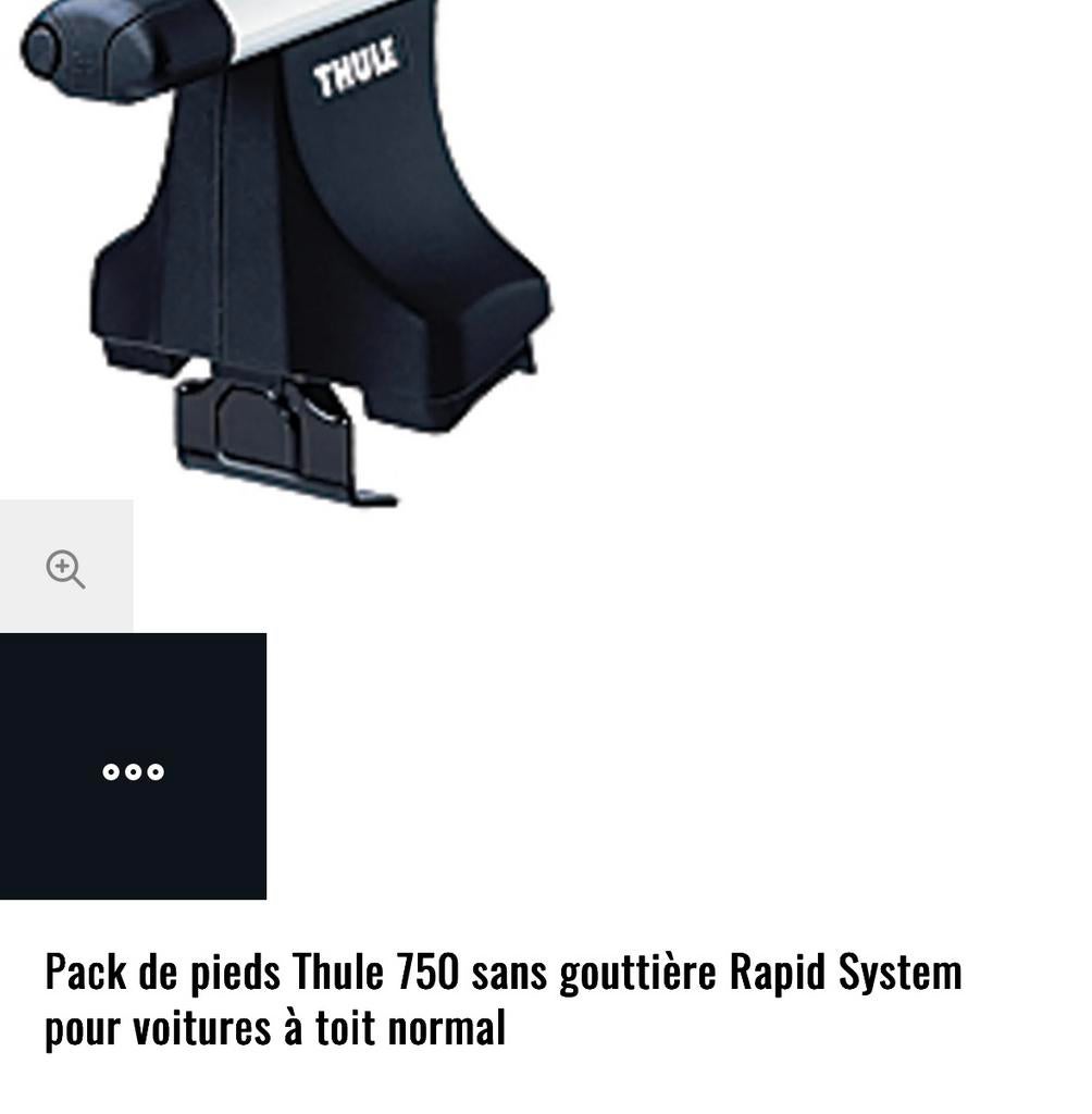Pack de 4 pieds de barre de toit Thule 750 à toit normal, Enlèvement, Comme neuf