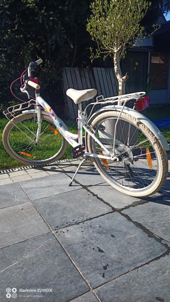 Meisjesfiets 24inch Adriatica, Enlèvement, Vitesses