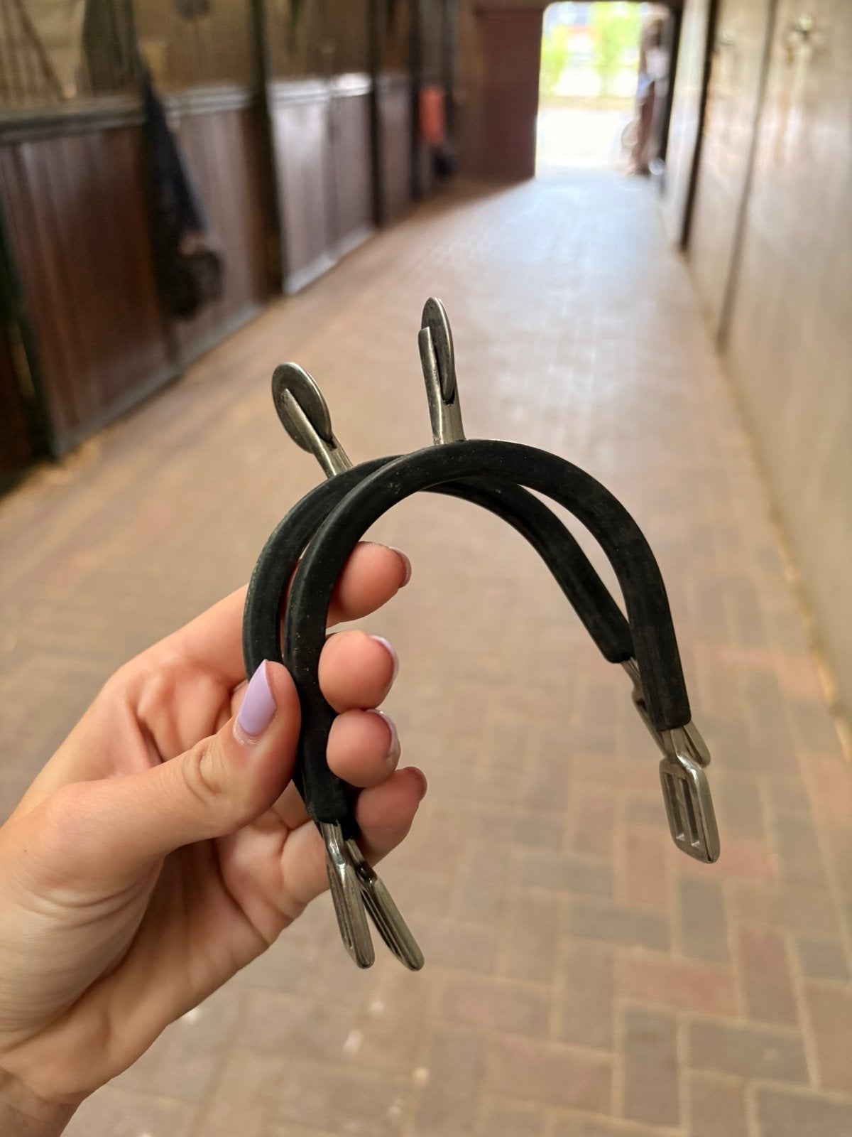 Eperons a roulettes, Animaux & Accessoires, Enlèvement ou Envoi, Comme neuf, BR